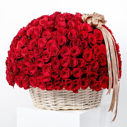 Casa Fiore 200 Red Roses Basket