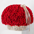 Casa Fiore 500 Red Roses Basket